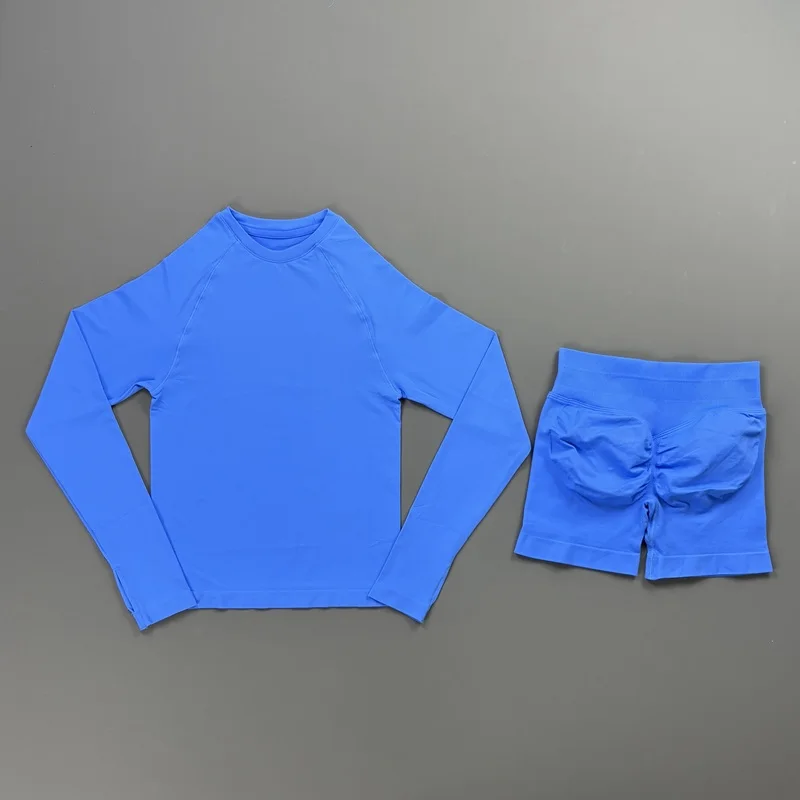 HISTELLO 2 Piece Gym Set Women Sports Long Sleeve Top and Shorts Sets Lightweight Fitness Clothes Pilates Yoga Sportswear Outfit