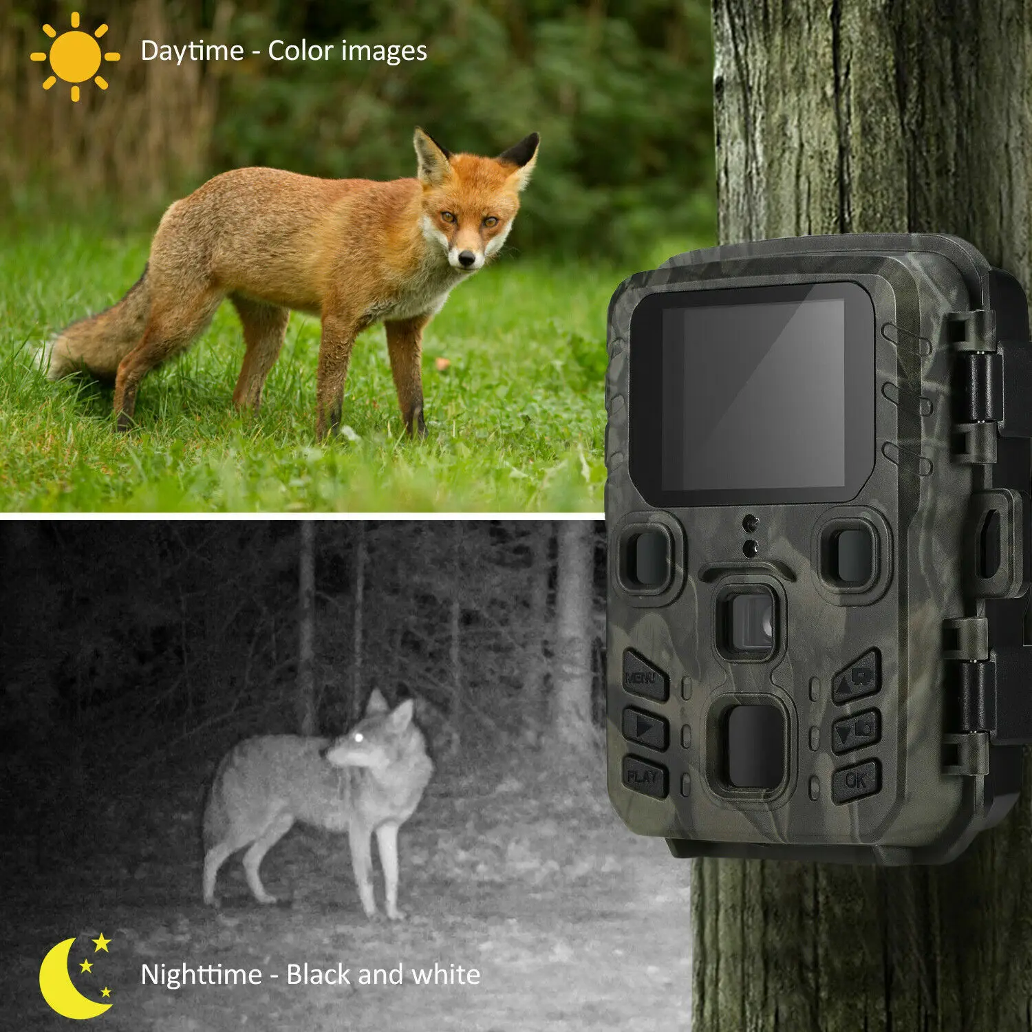 Mini Trail Hunting Camera 24MP 1080P 0.5s Motion Trigger Night Vision Waterproof Wildlife Photo Trap Scouting Cam