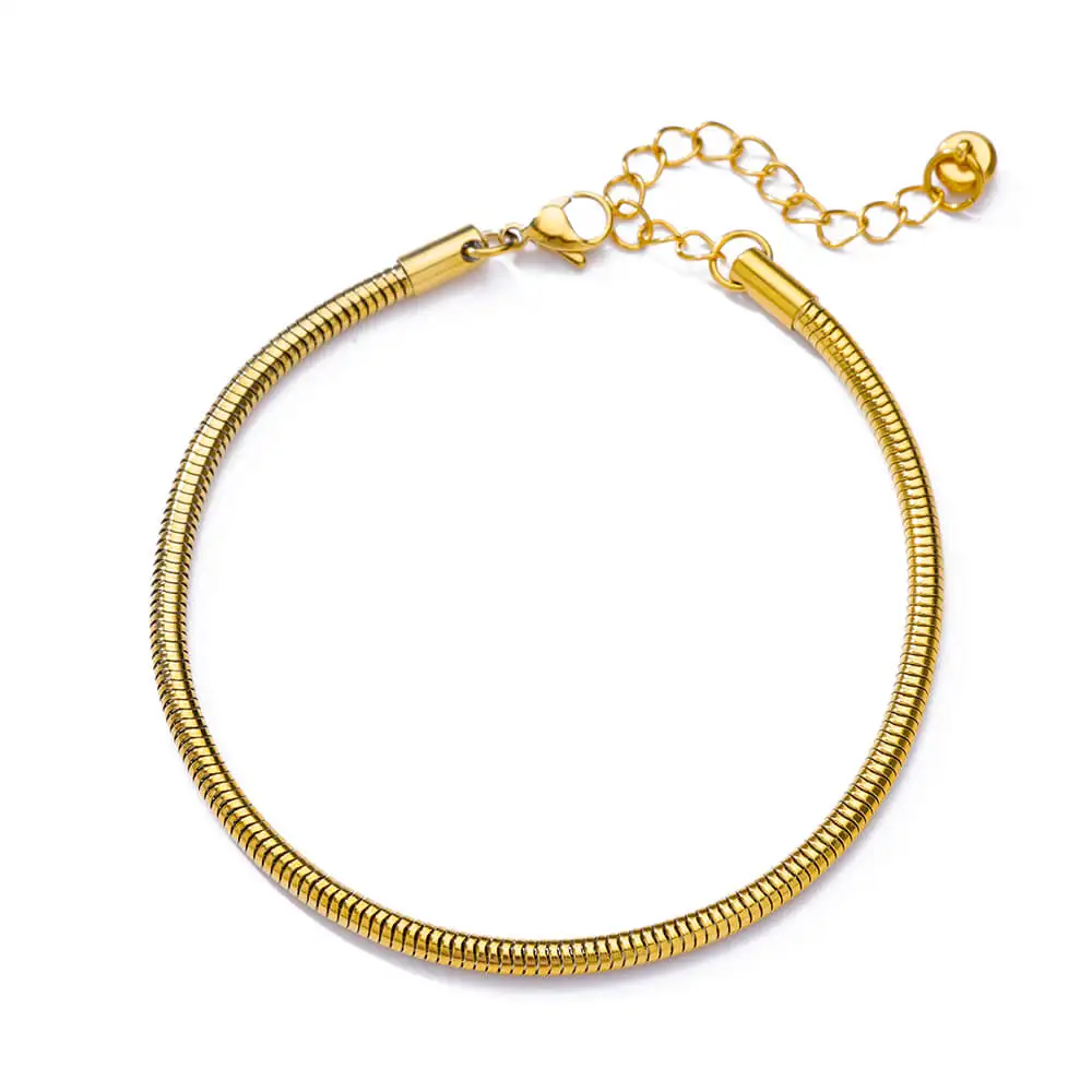 Anklets for Women Foot Leg Bracelets Summer Beach Stainless Steel Snake Chain Anklet New Aesthetics Jewelry Accessories Gift