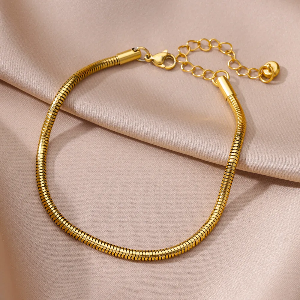 Anklets for Women Foot Leg Bracelets Summer Beach Stainless Steel Snake Chain Anklet New Aesthetics Jewelry Accessories Gift