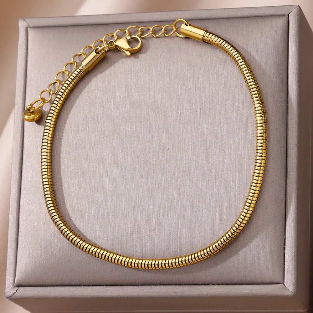 Anklets for Women Foot Leg Bracelets Summer Beach Stainless Steel Snake Chain Anklet New Aesthetics Jewelry Accessories Gift