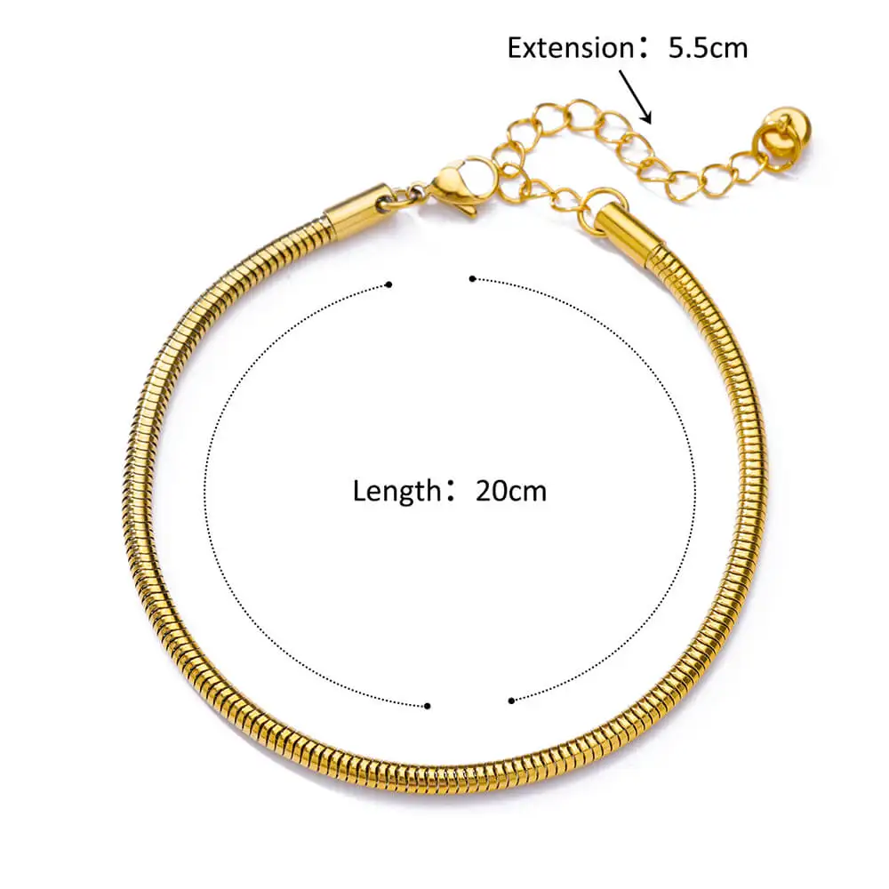 Anklets for Women Foot Leg Bracelets Summer Beach Stainless Steel Snake Chain Anklet New Aesthetics Jewelry Accessories Gift