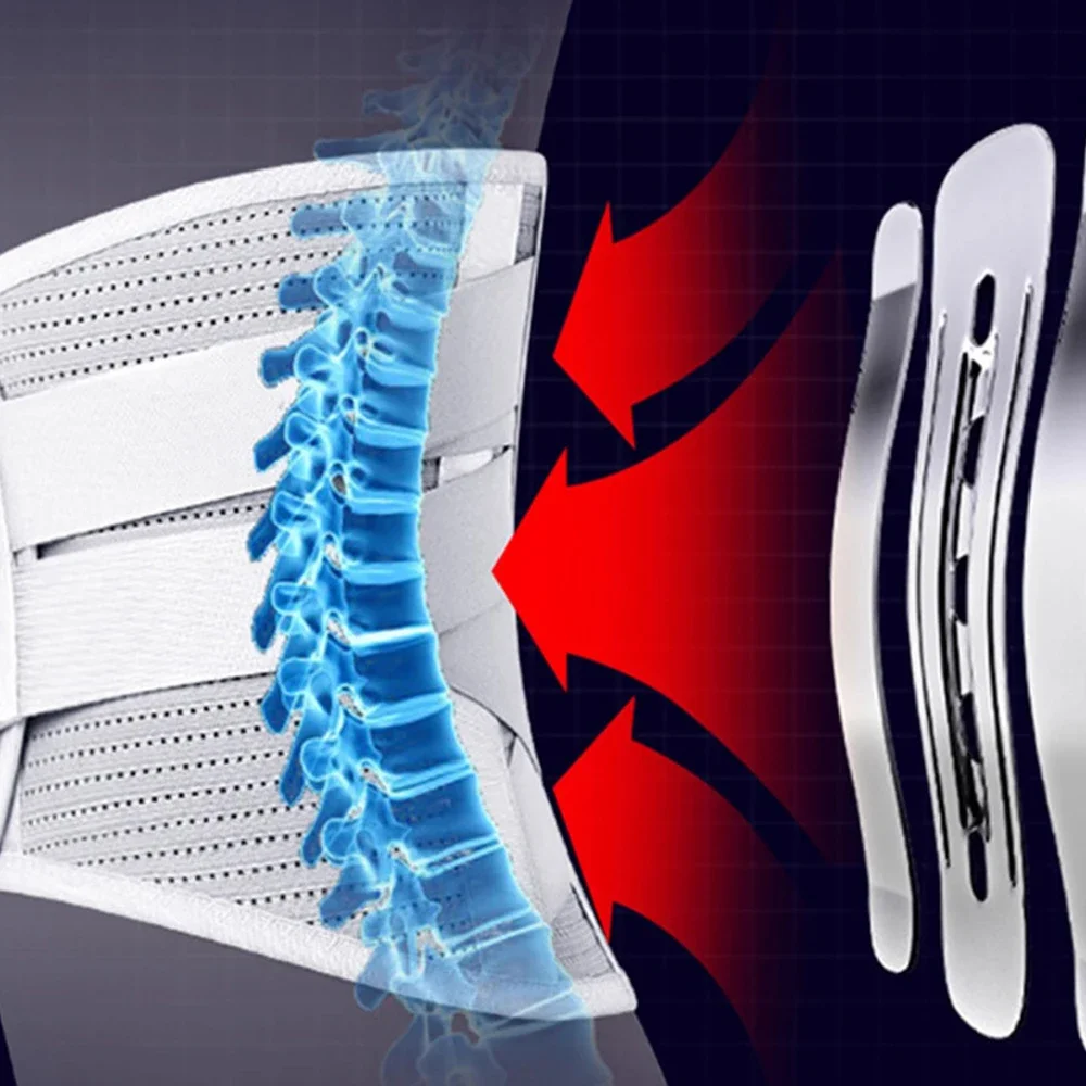 Back Brace for Lower Back Pain Lumbar Support Belt for Men Women, Bionic Spine Design Back Brace for Sciatica Herniated Disc