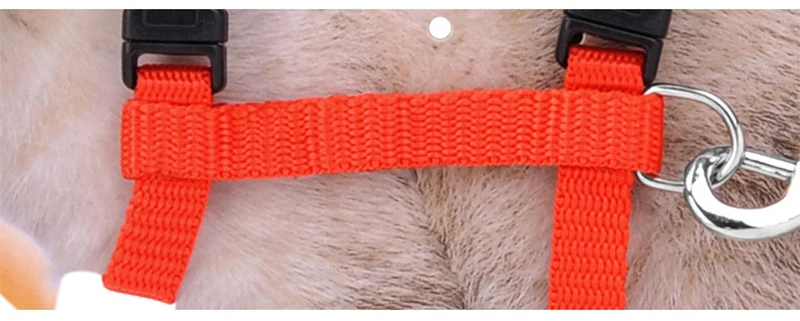 5 Color Adjustable Pet Cat Collar For Cats Cozy Nylon Rabbit Kitten Kedi Harness Leash Set Dog Cat Accessories Products For Pets
