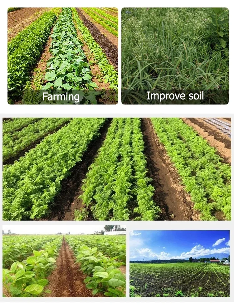 Durable Farm Tools and Gardening Tools High-toughness Agricultural Triangular Hoe Multi-purpose Hoe for Digging , Soil Loosening