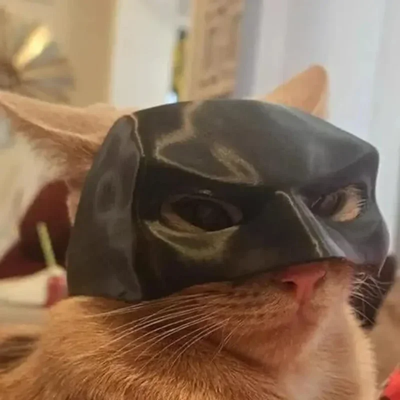 Cat Avenger Mask Bat Halloween 3D Printed Cosplay Hat Cat Funny Toys Photos Props Pet Accessories