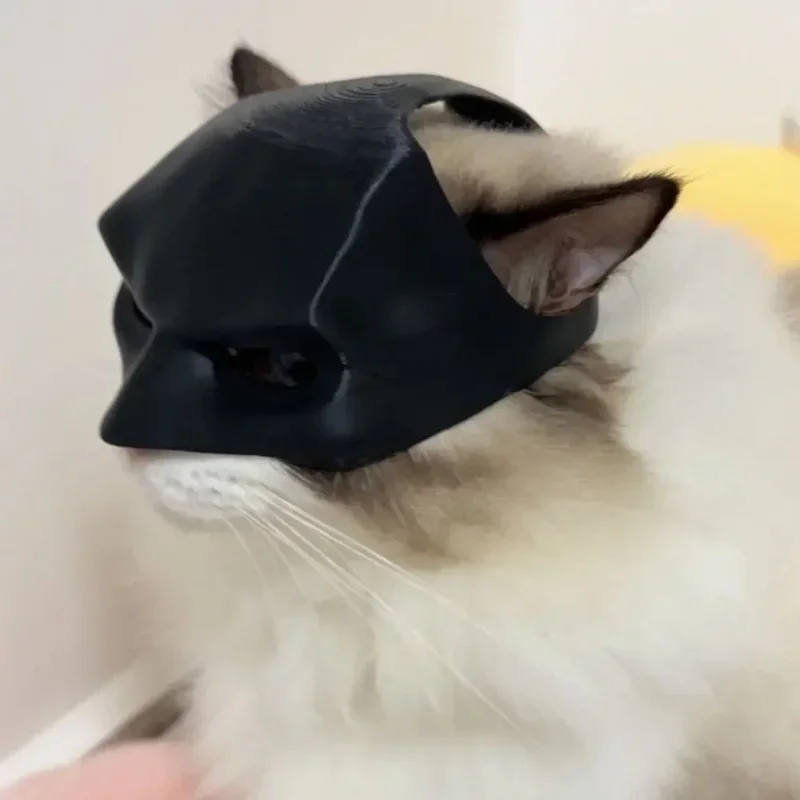 Cat Avenger Mask Bat Halloween 3D Printed Cosplay Hat Cat Funny Toys Photos Props Pet Accessories