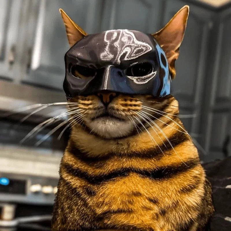 Cat Avenger Mask Bat Halloween 3D Printed Cosplay Hat Cat Funny Toys Photos Props Pet Accessories