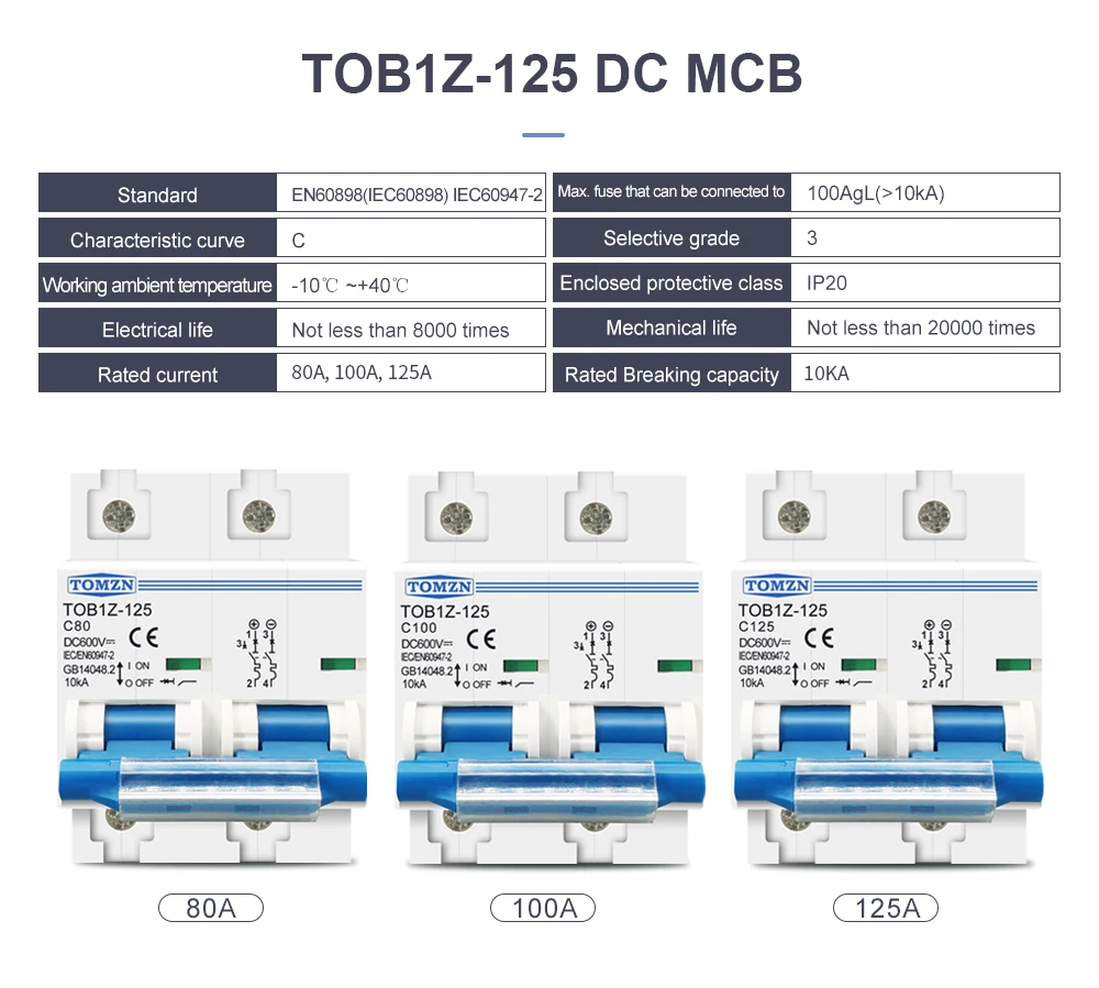 TOMZN 2P DC MCB 600V 125A 100A 80A Circuit Breaker PV System Battery Main Switch