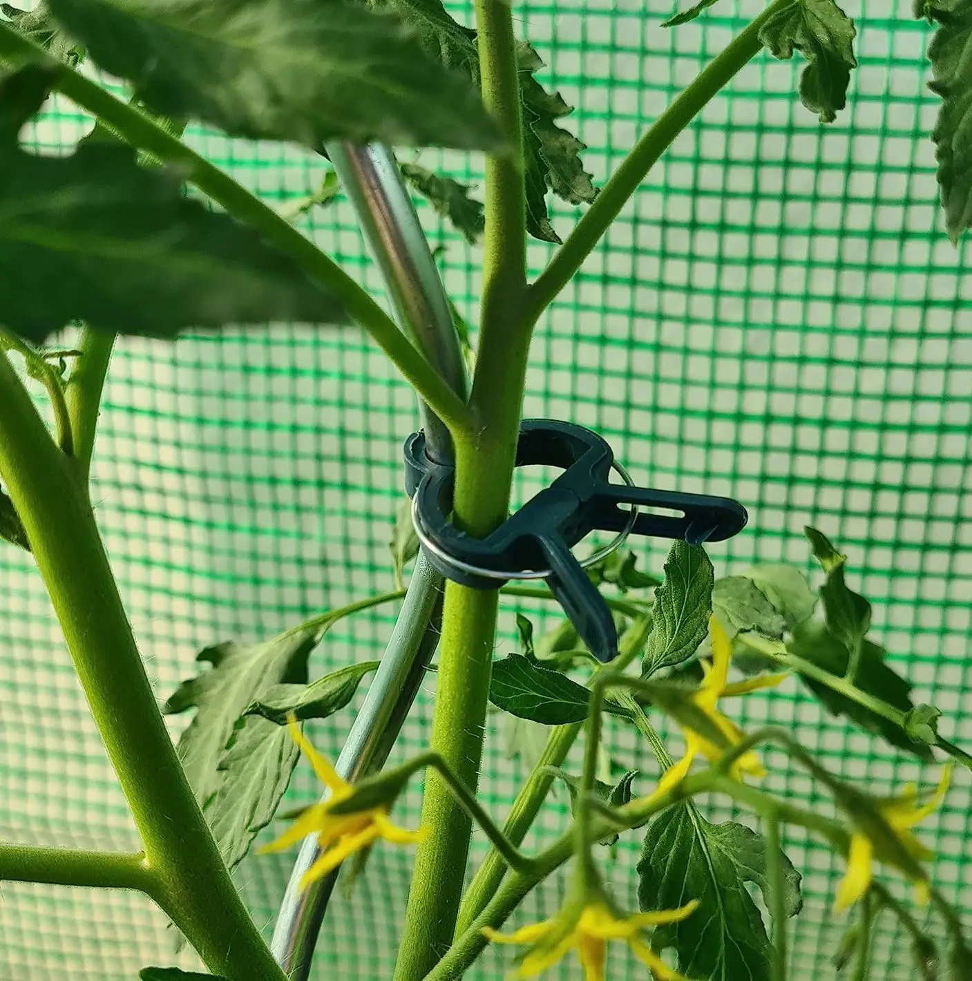 Garden Plant Clips, Plant Support Clips for Securing Stems, Flowers or Climbing Vines To Tomato Cages