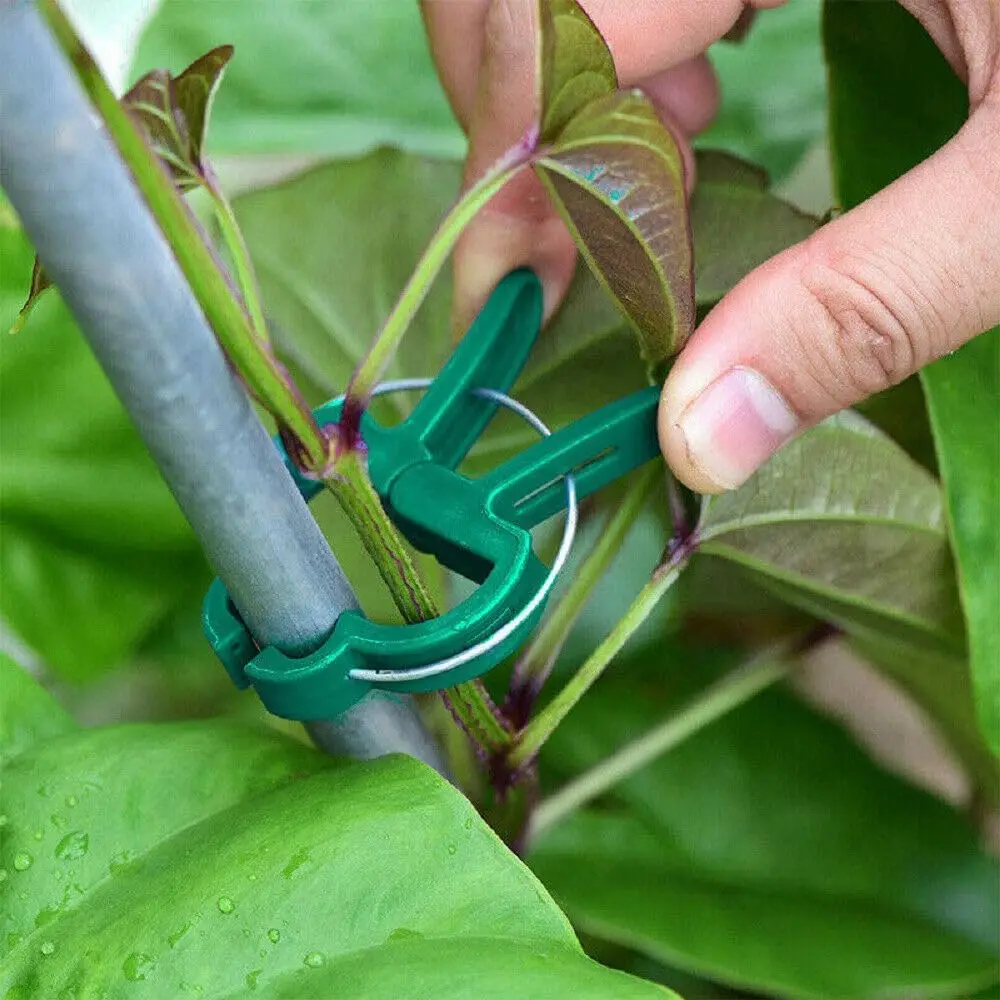Garden Plant Clips, Plant Support Clips for Securing Stems, Flowers or Climbing Vines To Tomato Cages