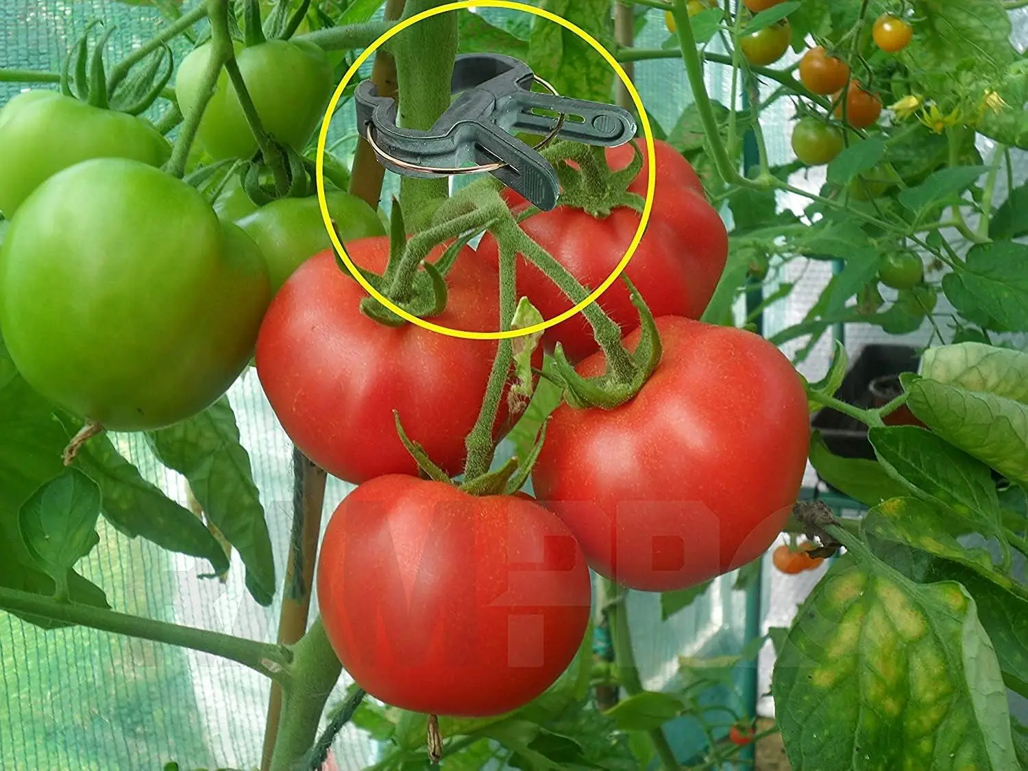 Garden Plant Clips, Plant Support Clips for Securing Stems, Flowers or Climbing Vines To Tomato Cages