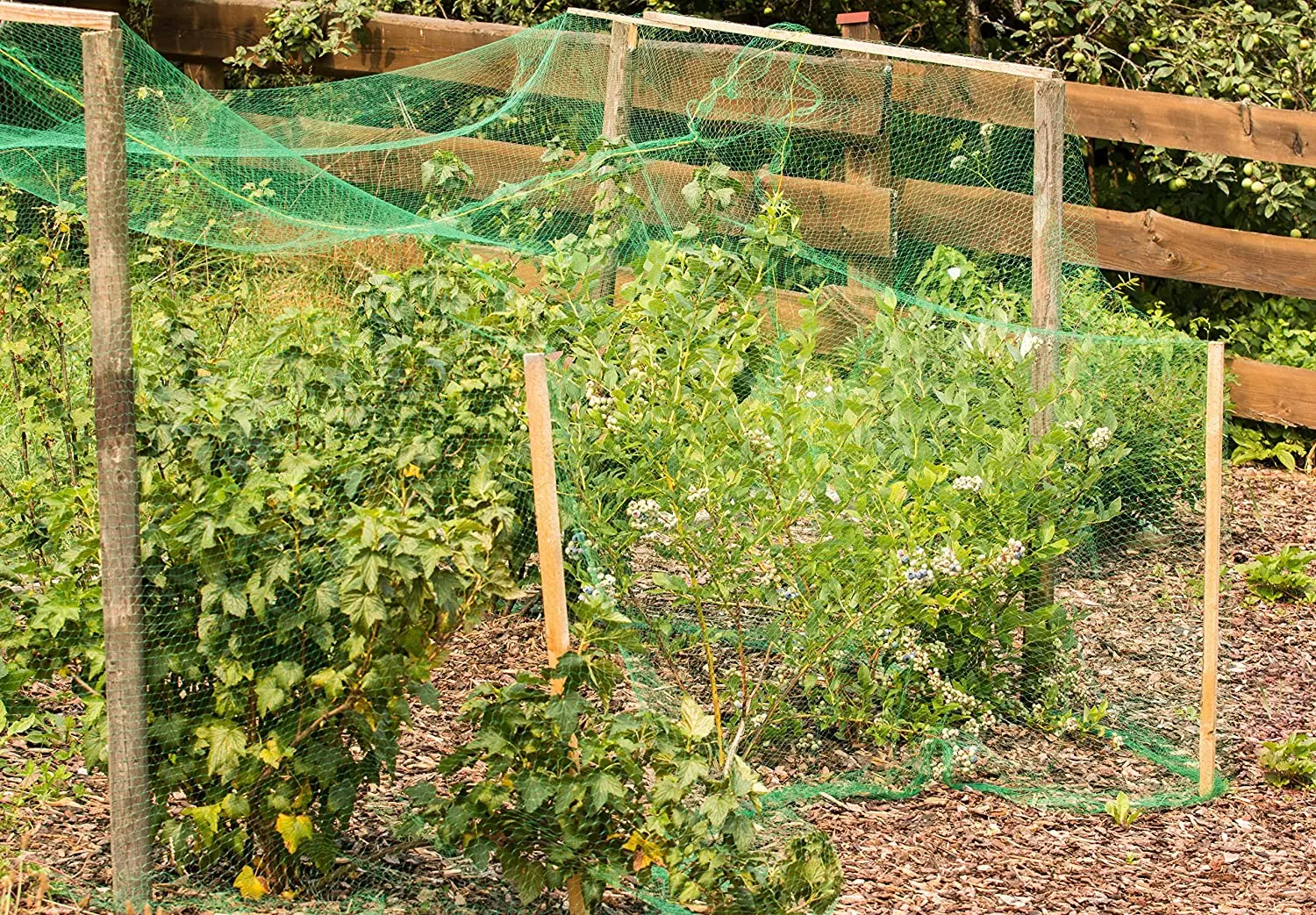 Solid Anti Bird Netting Garden Net and Crops Protective Fencing Mesh Anti Bird Deer Cat Dog Chicken Net Fishing Net Poultry Net