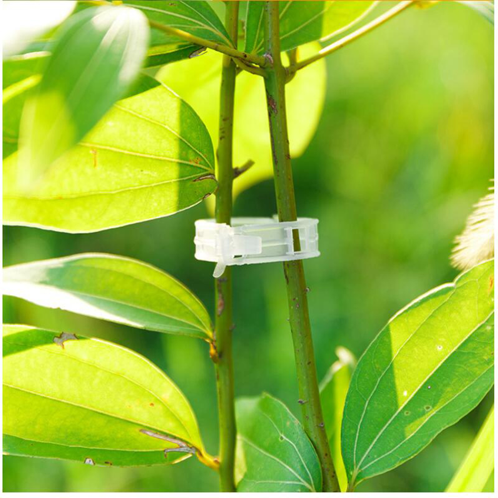 50/100pcs Plastic Plant Clips Supports Connects Reusable Protection Grafting Fixing Tool Gardening Supplies for Vegetable Tomato