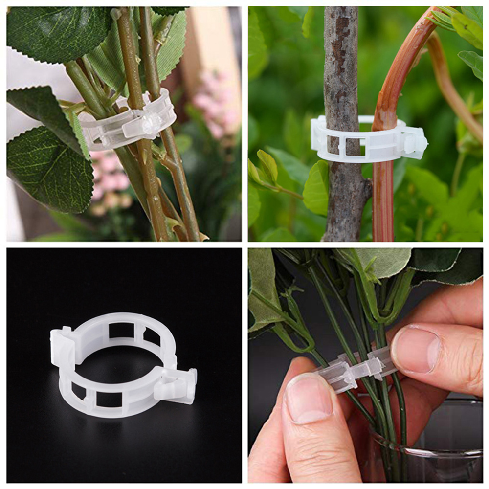 50/100pcs Plastic Plant Clips Supports Connects Reusable Protection Grafting Fixing Tool Gardening Supplies for Vegetable Tomato