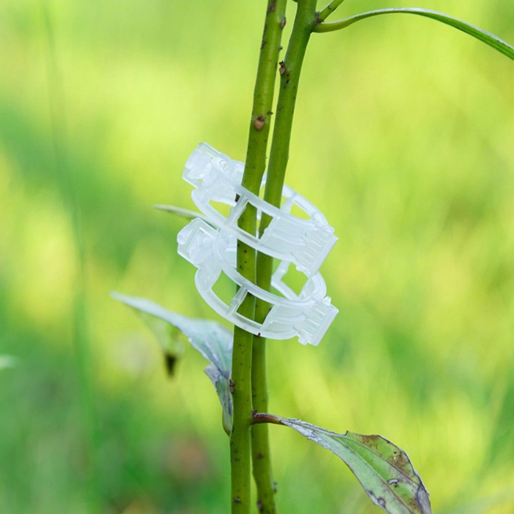50/100pcs Plastic Plant Clips Supports Connects Reusable Protection Grafting Fixing Tool Gardening Supplies for Vegetable Tomato