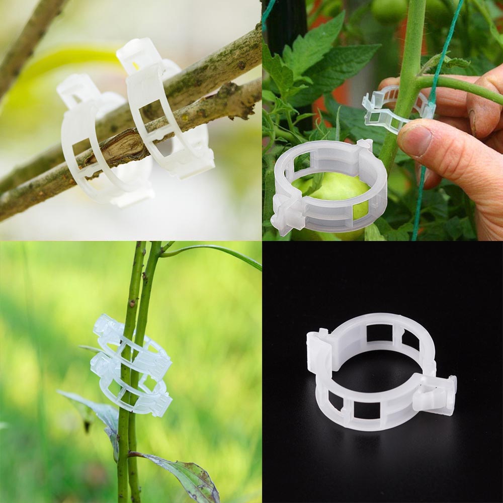 50/100pcs Plastic Plant Clips Supports Connects Reusable Protection Grafting Fixing Tool Gardening Supplies for Vegetable Tomato