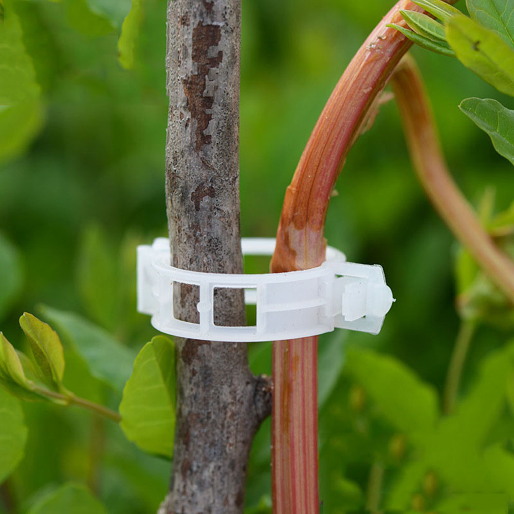 50/100pcs Plastic Plant Clips Supports Connects Reusable Protection Grafting Fixing Tool Gardening Supplies for Vegetable Tomato