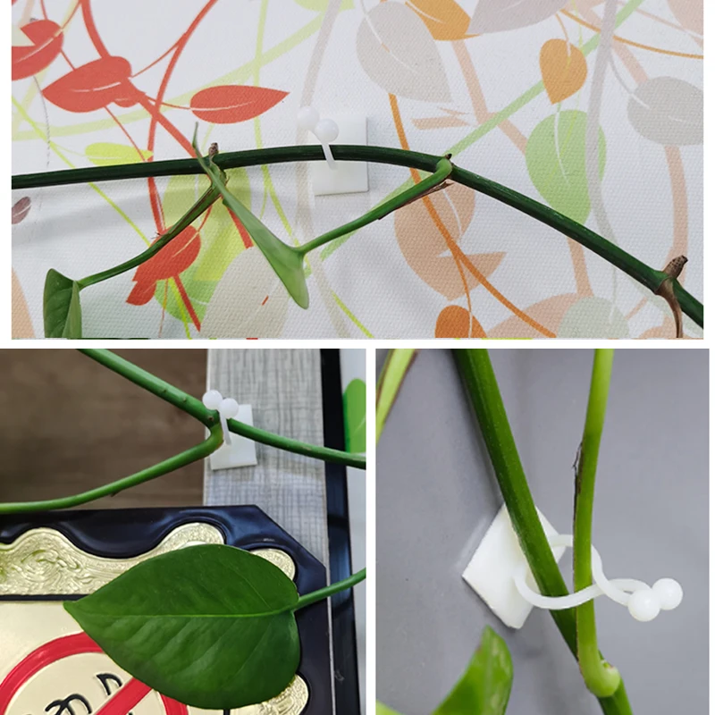 Plant Climbing Self-Adhesive Wall Vines Tools Fixture Plant Wall Fixture Clips Fixed Buckle Hook for Home Garden Wall Sticky