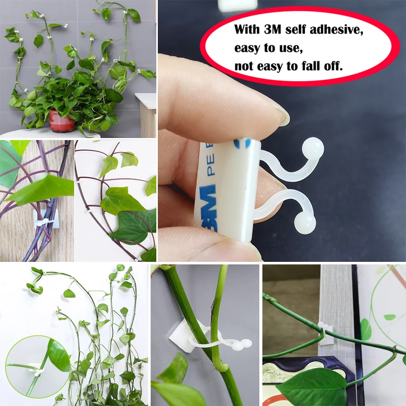 Plant Climbing Self-Adhesive Wall Vines Tools Fixture Plant Wall Fixture Clips Fixed Buckle Hook for Home Garden Wall Sticky