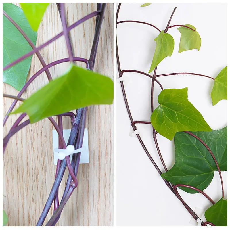 Plant Climbing Self-Adhesive Wall Vines Tools Fixture Plant Wall Fixture Clips Fixed Buckle Hook for Home Garden Wall Sticky