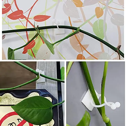 Plant Climbing Self-Adhesive Wall Vines Tools Fixture Plant Wall Fixture Clips Fixed Buckle Hook for Home Garden Wall Sticky