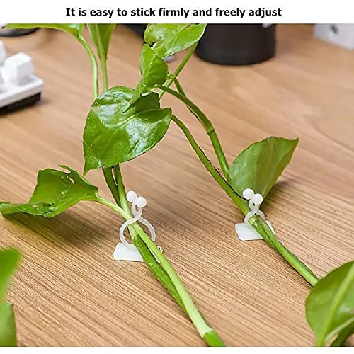 Plant Climbing Self-Adhesive Wall Vines Tools Fixture Plant Wall Fixture Clips Fixed Buckle Hook for Home Garden Wall Sticky