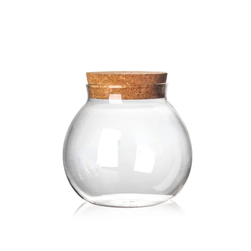 500/1000/1800 ML Micro Landscape Glass Bottle Vase Mouth Ball Moss DIY Bottles Home Decoration Wooden Lid Vases Tea caddy ZAKKA