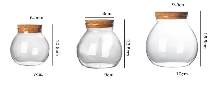 500/1000/1800 ML Micro Landscape Glass Bottle Vase Mouth Ball Moss DIY Bottles Home Decoration Wooden Lid Vases Tea caddy ZAKKA