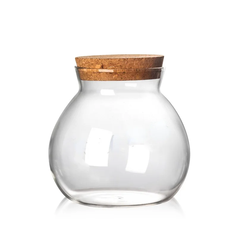 500/1000/1800 ML Micro Landscape Glass Bottle Vase Mouth Ball Moss DIY Bottles Home Decoration Wooden Lid Vases Tea caddy ZAKKA