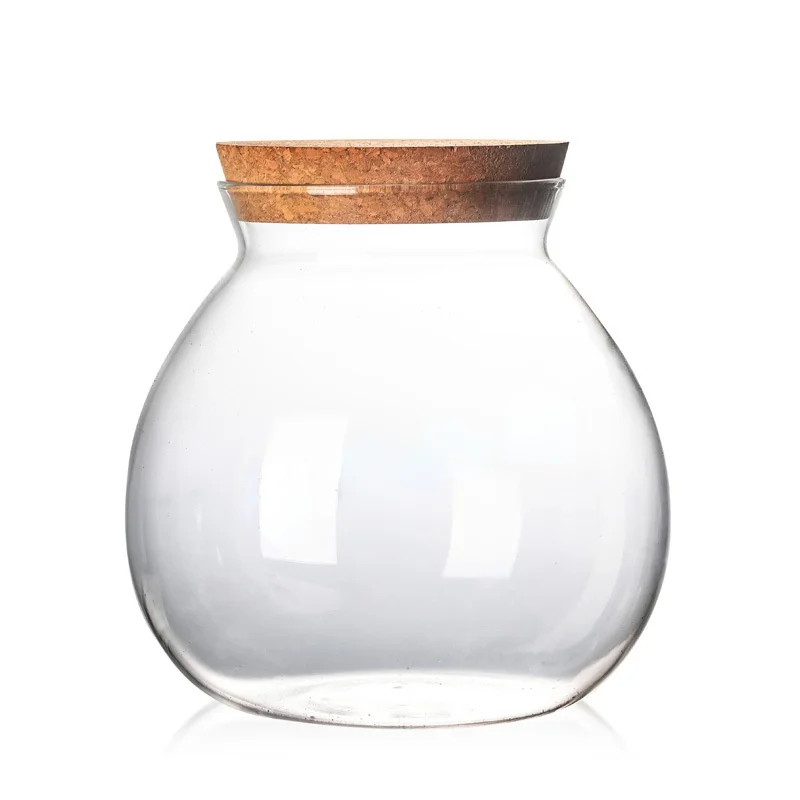 500/1000/1800 ML Micro Landscape Glass Bottle Vase Mouth Ball Moss DIY Bottles Home Decoration Wooden Lid Vases Tea caddy ZAKKA