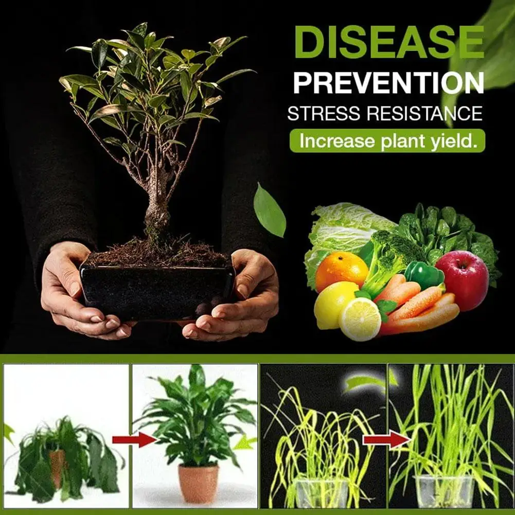 Soil Activator Organic Mineral Soil Loosening Agent Prevent Soil Hardness Promote Rooting Plant Fertilizer Garden Plant Care