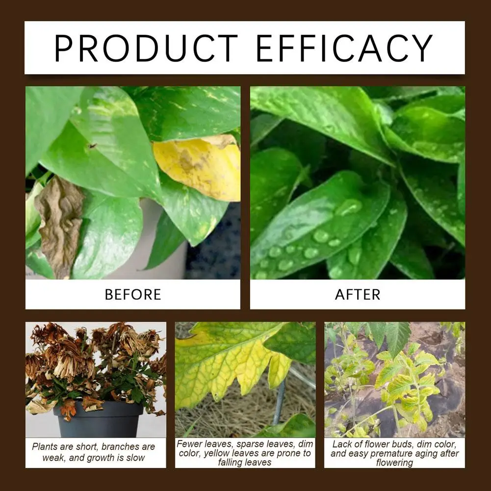 Soil Activator Organic Mineral Soil Loosening Agent Prevent Soil Hardness Promote Rooting Plant Fertilizer Garden Plant Care