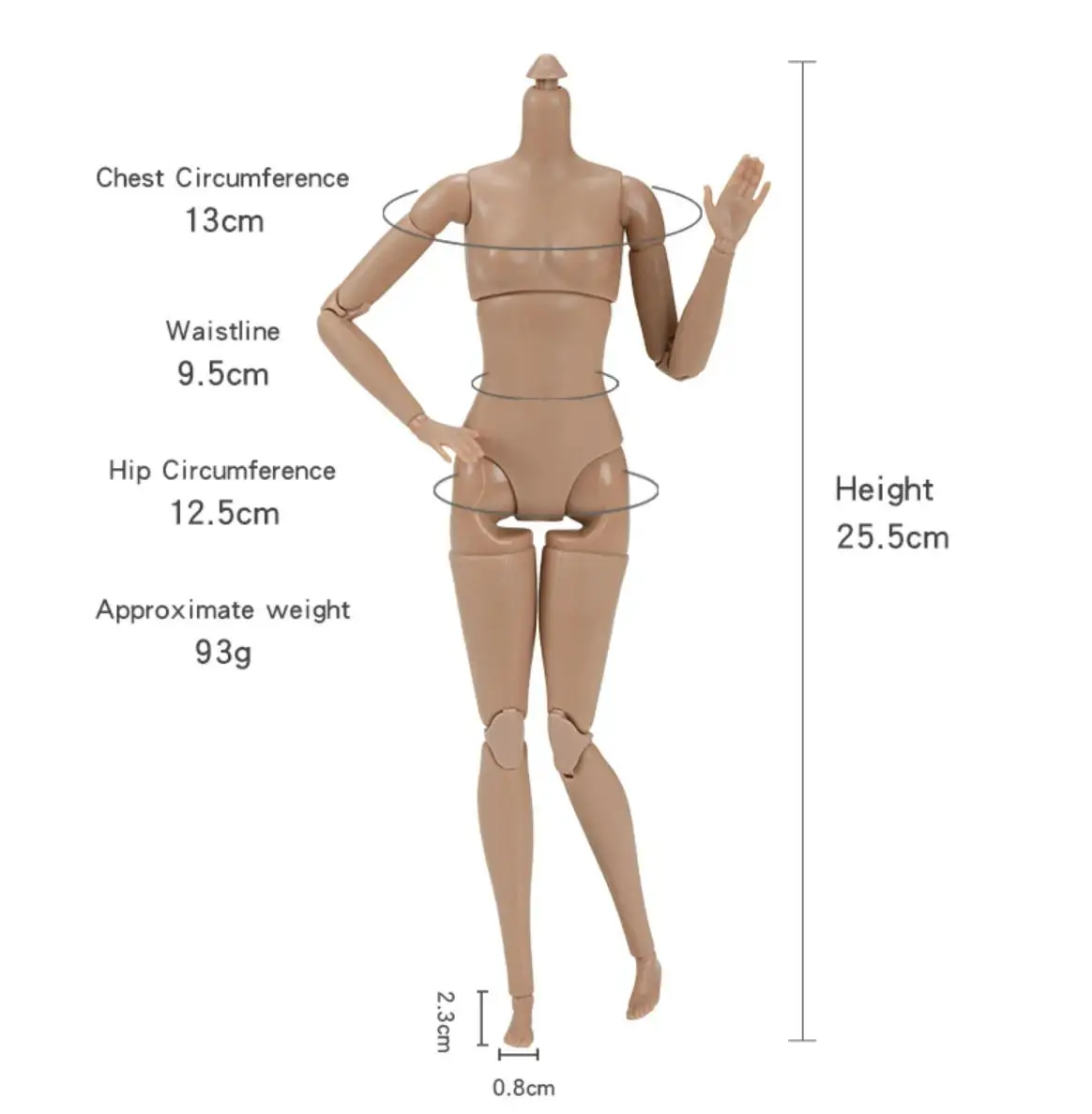 1/6 Doll Body 26CM High Quality Multi-jointed Movable Female Body White Skin/normal Skin Body Fashion Supermodel Heads DIY Parts