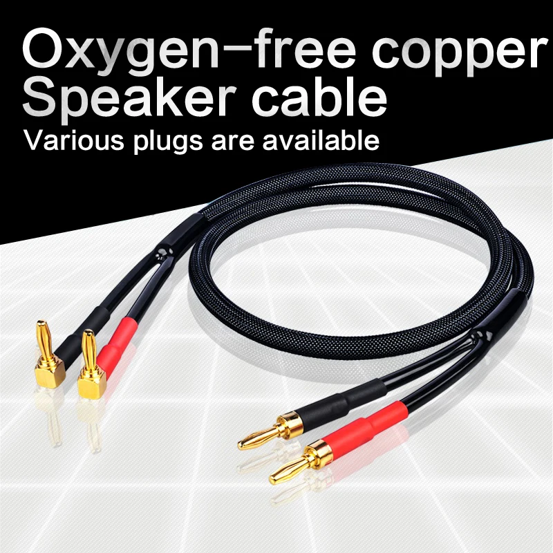 DIYLIVE 5N OFC High-Purity Copper HIFI Speaker Cable for Main Speaker Power Amplifier Side Connection Passive Audio Cable
