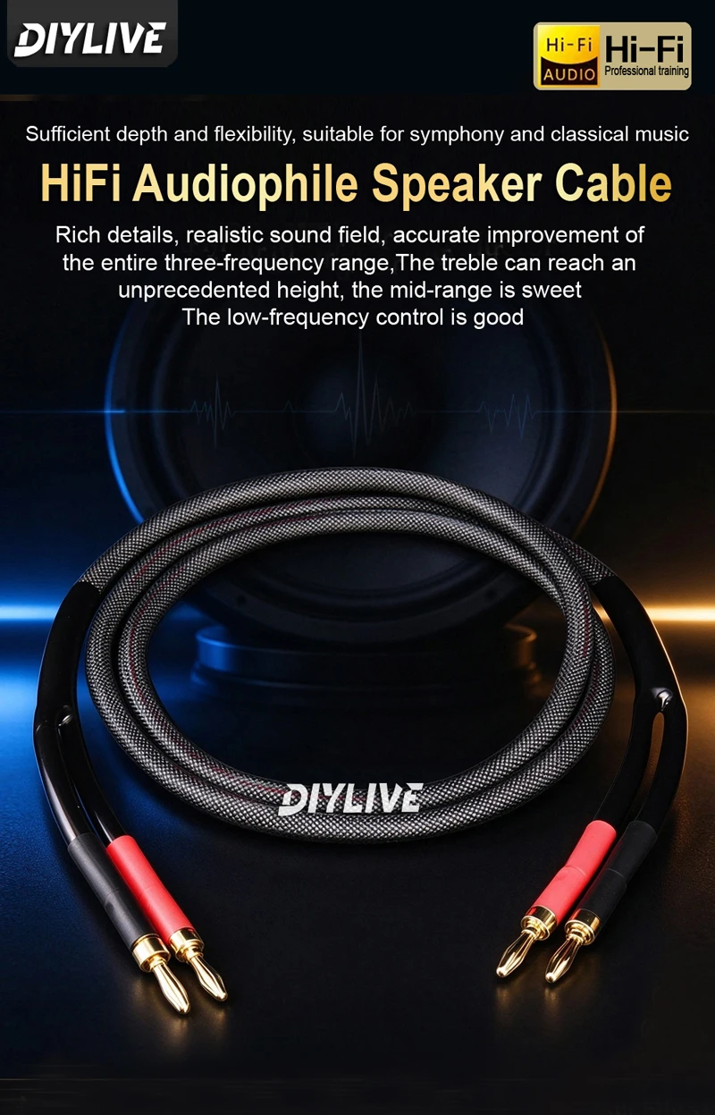 DIYLIVE 5N OFC High-Purity Copper HIFI Speaker Cable for Main Speaker Power Amplifier Side Connection Passive Audio Cable