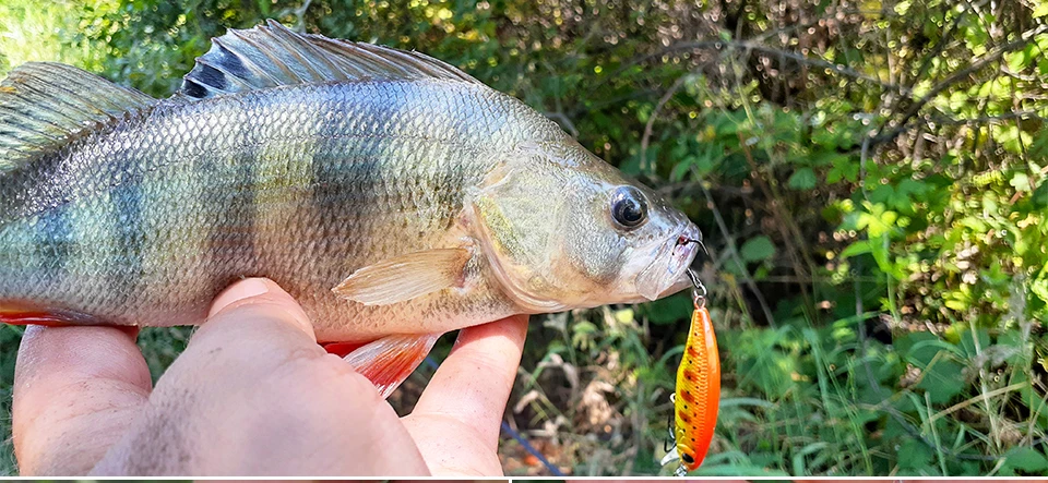 TSURINOYA Fishing Lure DW69 Sinking Minnow Hard Bait 48S 48mm 3.3g Fishing Wobblers Jerkbait Bass Trout Lure Swimbait