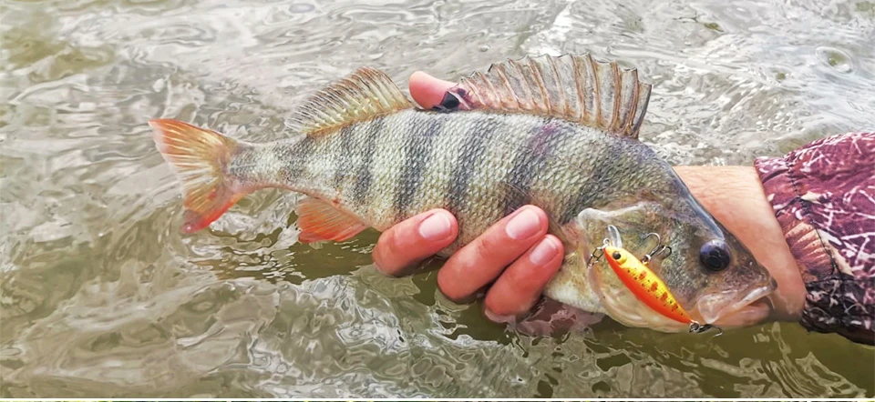TSURINOYA Fishing Lure DW69 Sinking Minnow Hard Bait 48S 48mm 3.3g Fishing Wobblers Jerkbait Bass Trout Lure Swimbait