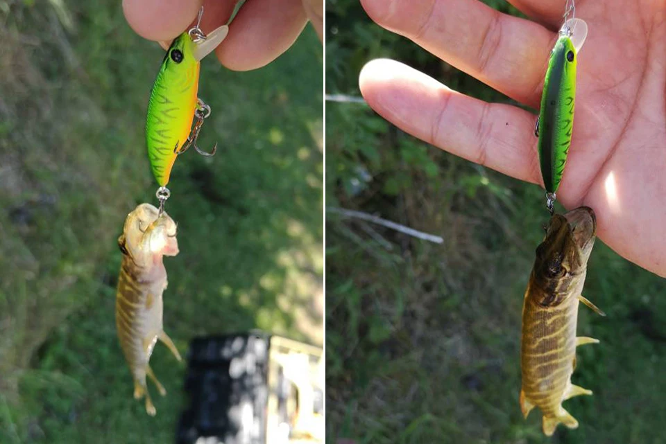 TSURINOYA Fishing Lure DW69 Sinking Minnow Hard Bait 48S 48mm 3.3g Fishing Wobblers Jerkbait Bass Trout Lure Swimbait