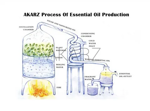 AKARZ Professional Plants Flower Series Top Sale Essential Oils Aromatic for Aromatherapy Diffusers Body Skin Care Aroma Oil B
