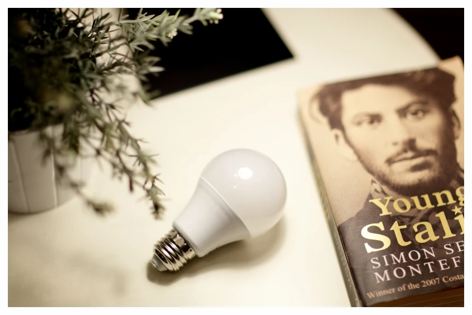 10pcs/lot E27 E14 LED Light Bulb 20W 18W 15W 12W 9W 6W 3W Lampada LED AC 220V Spotlight Lighting Cold/Warm White Lamp