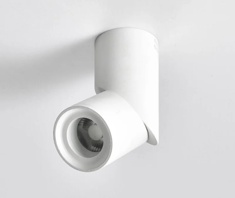 LED Downlights Dimmable 10W 15W 20W 24W Surface Mounted Ceiling Lamps Spot Light Warm /Natural /Cold White AC 85-265V + Driver