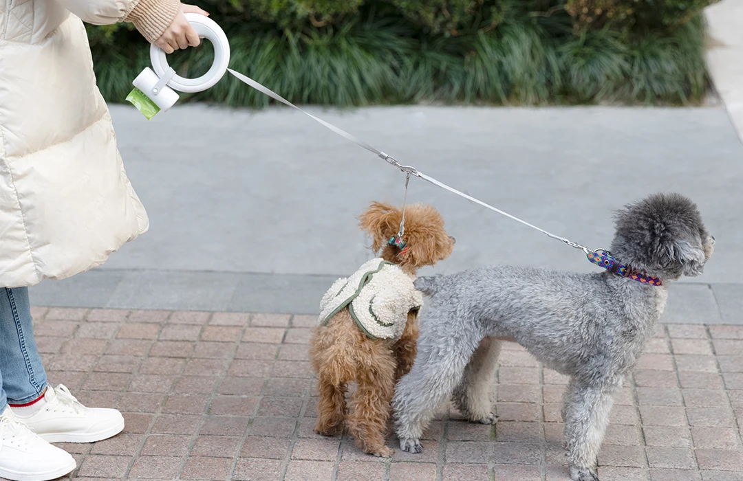MOESTAR 2022 UFO Retractable Pet Leash 2 Plus 3.0m Flexible Dog Traction Rope with Rechargeable LED Light Ring Shape
