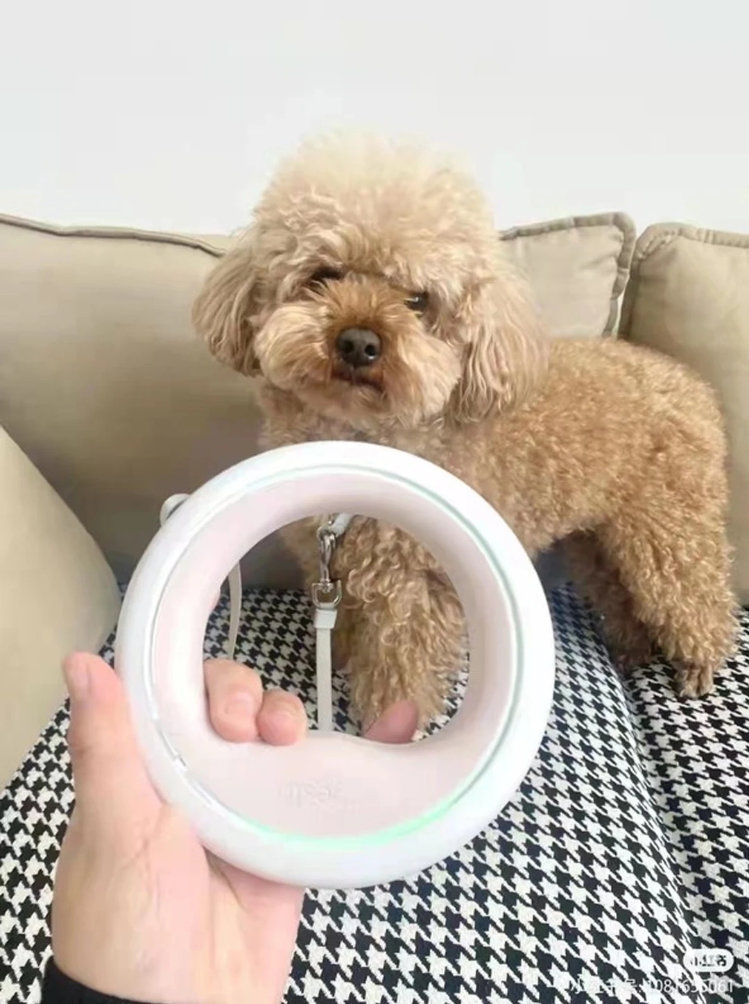 MOESTAR 2022 UFO Retractable Pet Leash 2 Plus 3.0m Flexible Dog Traction Rope with Rechargeable LED Light Ring Shape