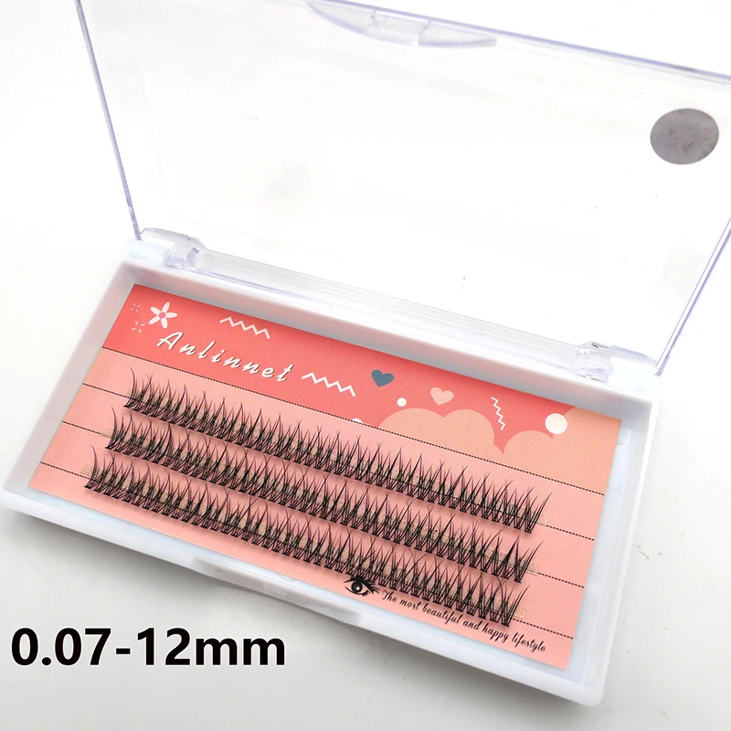 120 Clusters of 10D Fishtail Hairs Natural Eyelash Extension Personal Eyelashes A Type Fairy Eyelashes Thick Eyelashes Tool