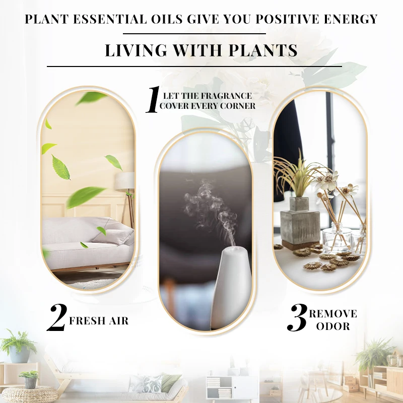 EVOKE OCCU100ML Essential Oils, Lavender Vanilla Eucalyptus Jasmine Rose Mint Oil for Diffuser, Humidifier, Scented Candle, Soap