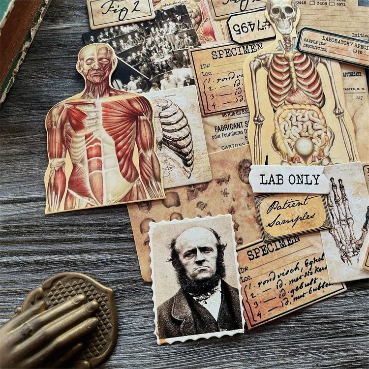 DIY Scrapbooking Vintage Doll Material Fabric Anatomy Horrible Junk Album Journal Happy planner decoration Card board photos
