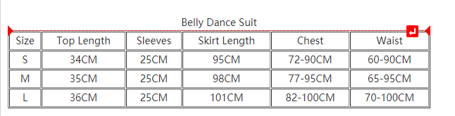 Women Proffesional Bellydance Costume Sexy Short Sleeves Top Long Skirt Exotic Dancewear Suit Girls Oriental Dance Outfit Cloth