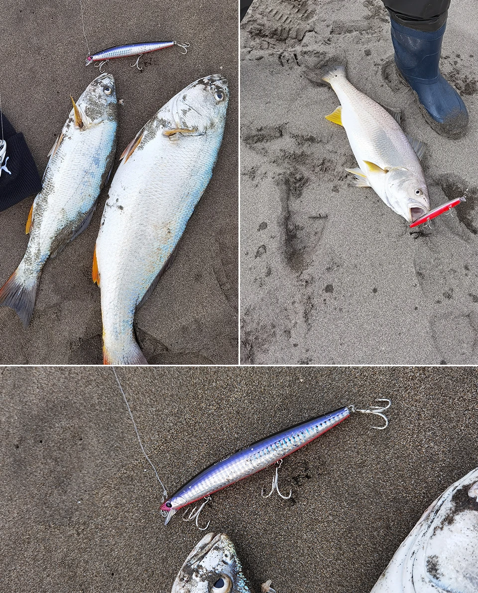 TSURINOYA 140F Ultra-long Casting Floating Minnow STINGER 140mm 24g Artificial Large Hard Bait Weight Sea Fishing Lure