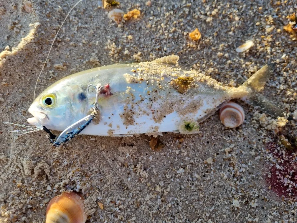 WEIHAI FSTK Metal Bait Sea Fishing Lures Jig Shore 10g15g20g30g Off Shore Jig Spoon Slow Jig Casting Jig Spoon Artificial Bait